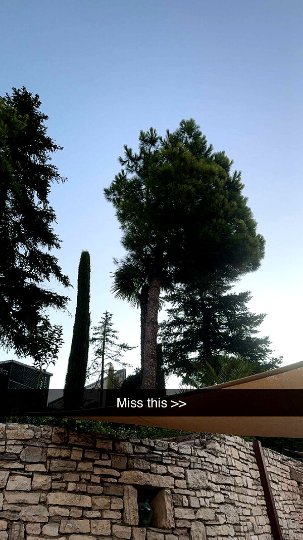mathilda_bergs snapchat image archive image
