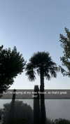 mathilda_bergs Altpins Profile Picture