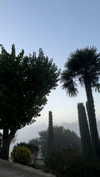 mathilda_bergs Altpins Profile Picture