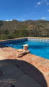 mathilda_bergs Altpins Profile Picture