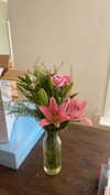 mathilda_bergs Altpins Profile Picture