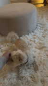 mathilda_bergs Altpins Profile Picture