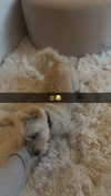 mathilda_bergs Altpins Profile Picture