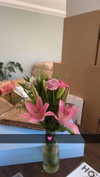 mathilda_bergs Altpins Profile Picture