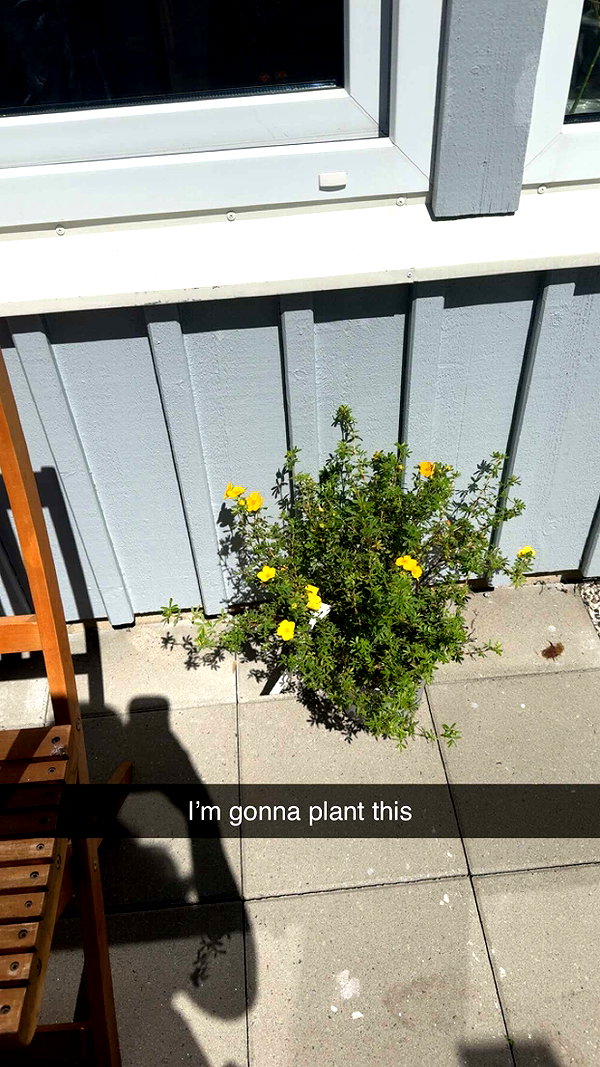 mathilda_bergs snapchat image archive image