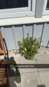mathilda_bergs Altpins Profile Picture