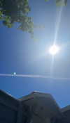 mathilda_bergs Altpins Profile Picture