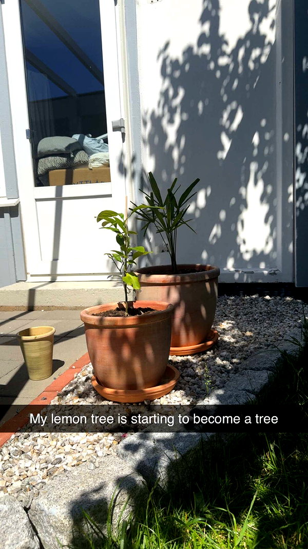 mathilda_bergs snapchat image archive image