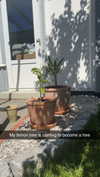 mathilda_bergs Altpins Profile Picture