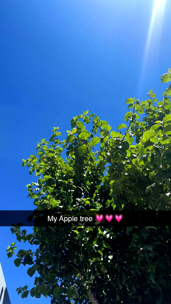 mathilda_bergs snapchat image archive image