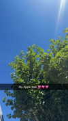 mathilda_bergs Altpins Profile Picture