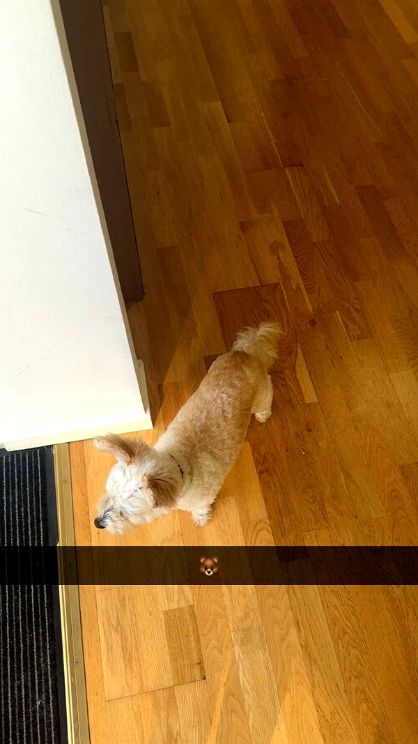 mathilda_bergs snapchat image archive image