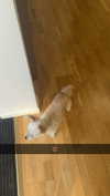 mathilda_bergs Altpins Profile Picture