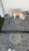 mathilda_bergs Altpins Profile Picture