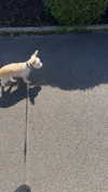 mathilda_bergs Altpins Profile Picture