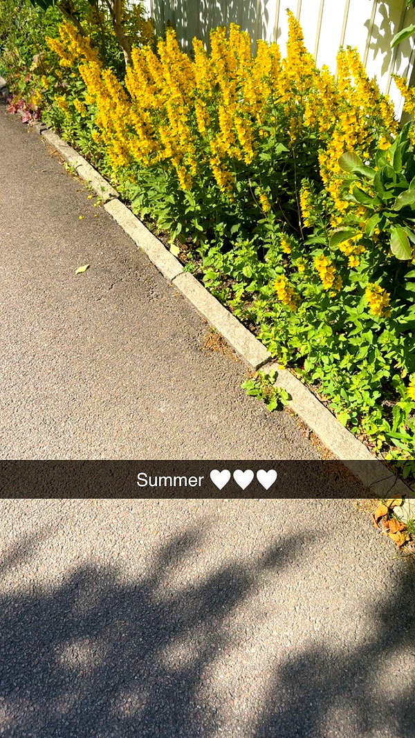 mathilda_bergs snapchat image archive image