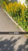 mathilda_bergs Altpins Profile Picture