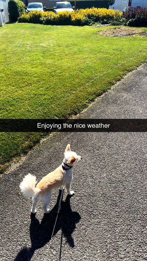 mathilda_bergs snapchat image archive image