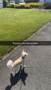 mathilda_bergs Altpins Profile Picture