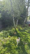 mathilda_bergs Altpins Profile Picture