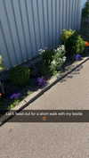 mathilda_bergs Altpins Profile Picture