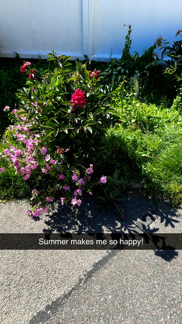 mathilda_bergs snapchat image archive image