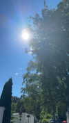 mathilda_bergs Altpins Profile Picture