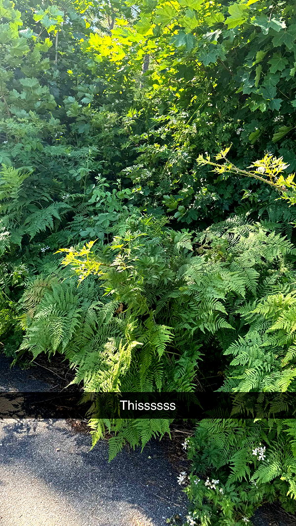 mathilda_bergs snapchat image archive image