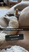 mathilda_bergs Altpins Profile Picture