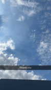 mathilda_bergs Altpins Profile Picture