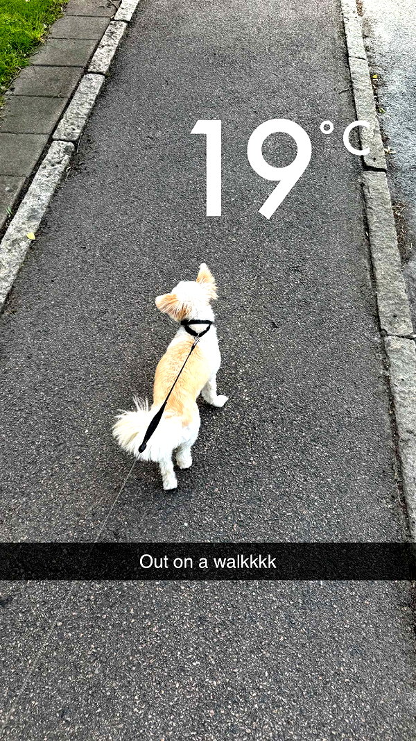 mathilda_bergs snapchat image archive image