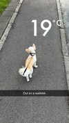 mathilda_bergs Altpins Profile Picture