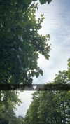 mathilda_bergs Altpins Profile Picture