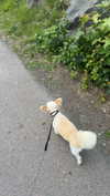 mathilda_bergs Altpins Profile Picture