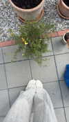mathilda_bergs Altpins Profile Picture