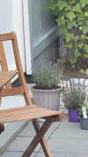 mathilda_bergs Altpins Profile Picture