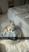 mathilda_bergs Altpins Profile Picture