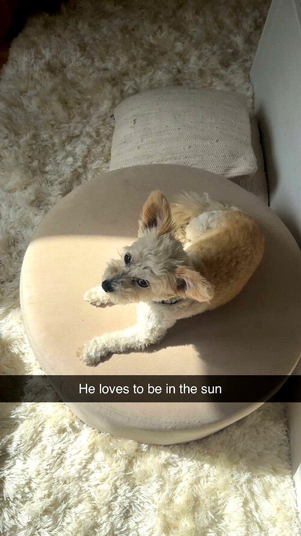 mathilda_bergs snapchat image archive image