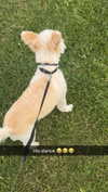 mathilda_bergs Altpins Profile Picture