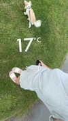 mathilda_bergs Altpins Profile Picture