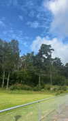 mathilda_bergs Altpins Profile Picture