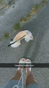 mathilda_bergs Altpins Profile Picture