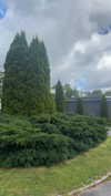 mathilda_bergs Altpins Profile Picture
