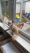 mathilda_bergs Altpins Profile Picture