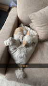 mathilda_bergs Altpins Profile Picture