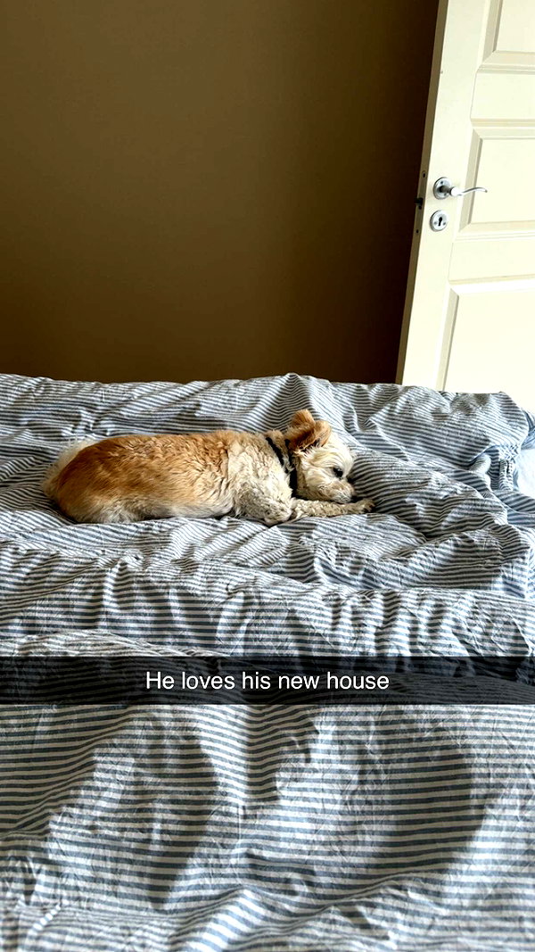 mathilda_bergs snapchat image archive image