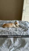 mathilda_bergs Altpins Profile Picture
