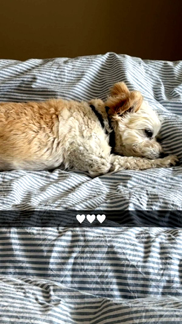 mathilda_bergs snapchat image archive image