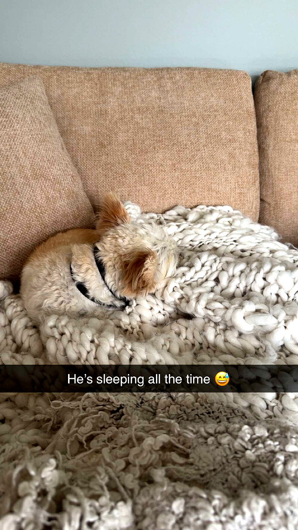 mathilda_bergs snapchat image archive image