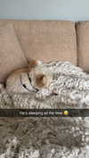 mathilda_bergs Altpins Profile Picture
